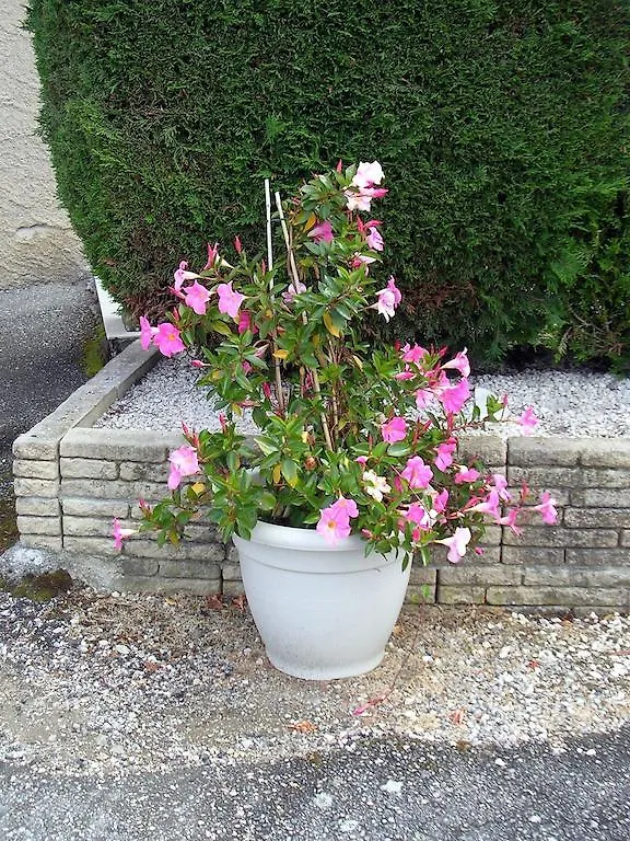 Bed & Breakfast Chambre D'Hotes Tardy Saint-Michel-sur-Savasse