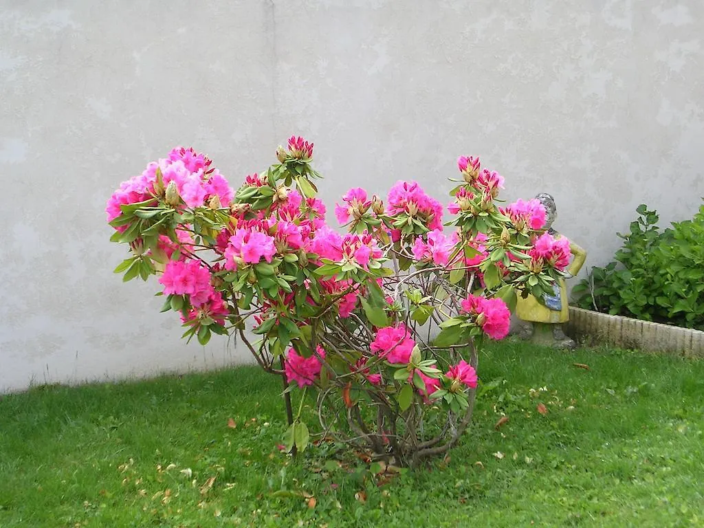 Chambre D'Hotes Tardy Saint-Michel-sur-Savasse Bed & Breakfast